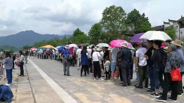 安徽泾县游客被围殴事件深度分析：旅游市场秩序何去何从？